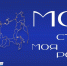 «Моя страна — моя Россия» - Соцзащита населения по Лямбирскому району